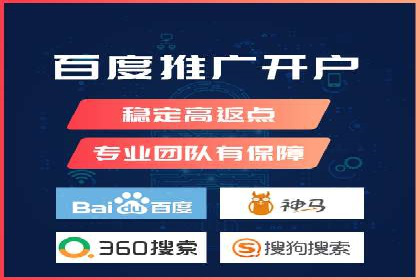 SEM托管公司案例分析：实战技巧全解析